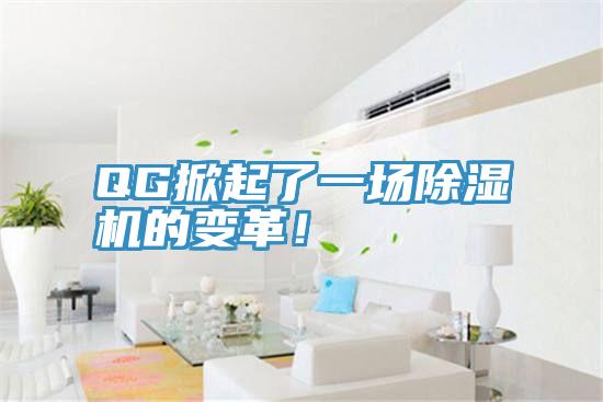 QG掀起了一場除濕機的變革！