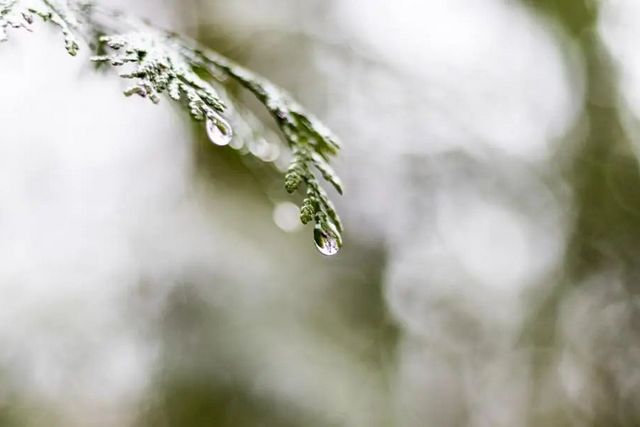 空氣濕度大帶來的危害有哪些，你知道嗎？