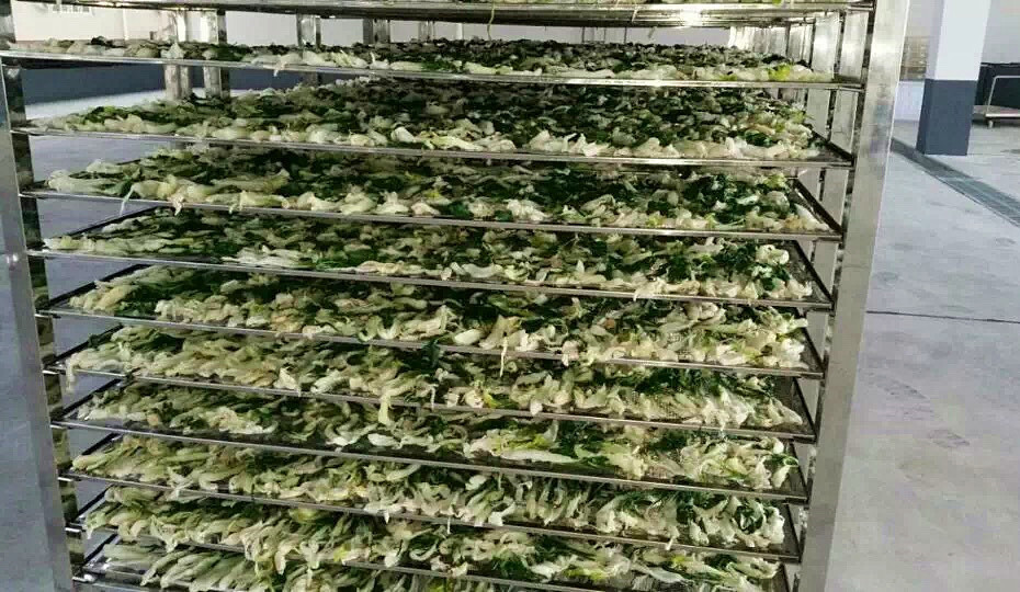 菜干需求一直都很大，蔬菜烘干機很有市場