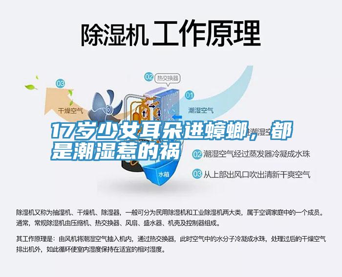 17歲少女耳朵進蟑螂，都是潮濕惹的禍