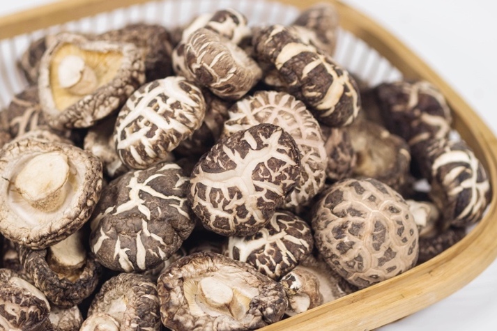 干貨倉庫怎么利用除濕機保持干爽？