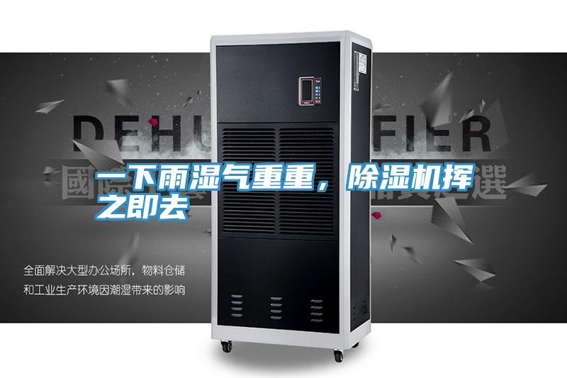 一下雨濕氣重重，除濕機(jī)揮之即去