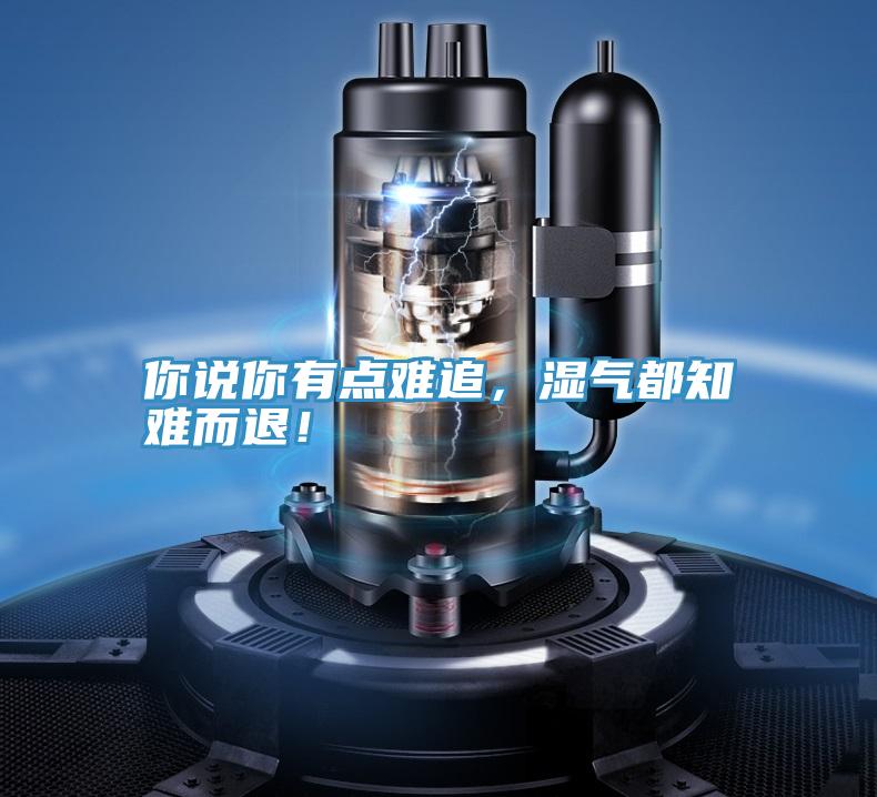 你說(shuō)你有點(diǎn)難追，濕氣都知難而退！