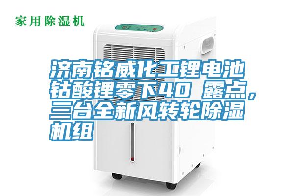濟(jì)南銘威化工鋰電池鈷酸鋰零下40℃露點(diǎn)，三臺(tái)全新風(fēng)轉(zhuǎn)輪除濕機(jī)組