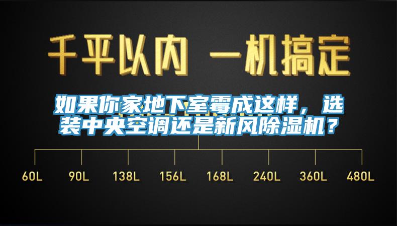 如果你家地下室霉成這樣，選裝中央空調(diào)還是新風(fēng)除濕機(jī)？