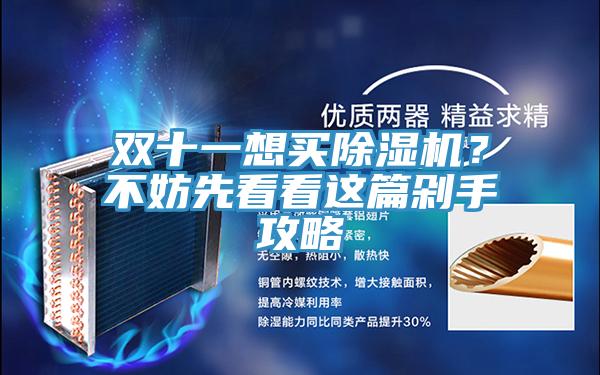 雙十一想買除濕機(jī)？不妨先看看這篇剁手攻略