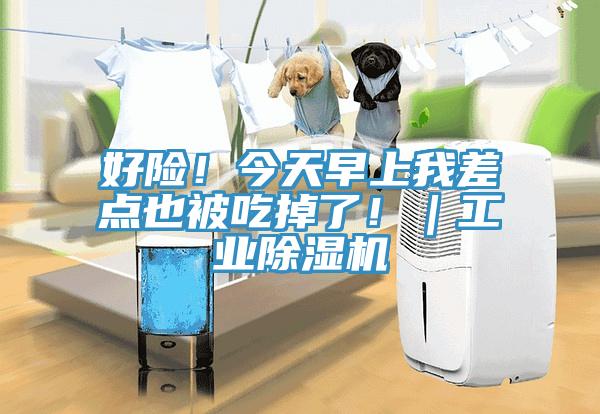 好險(xiǎn)！今天早上我差點(diǎn)也被吃掉了?。I(yè)除濕機(jī)