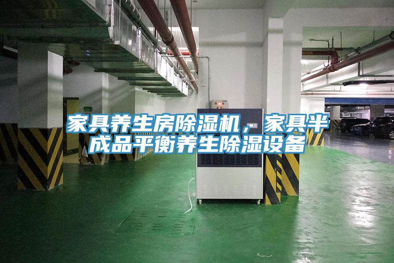家具養(yǎng)生房除濕機(jī)，家具半成品平衡養(yǎng)生除濕設(shè)備