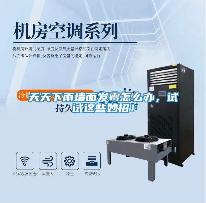 天天下雨墻面發(fā)霉怎么辦，試試這些妙招！