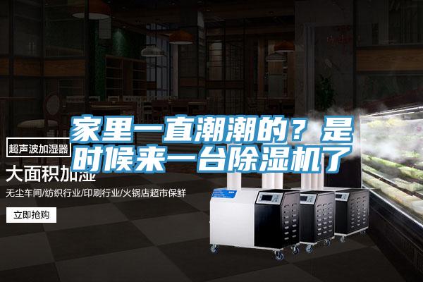 家里一直潮潮的？是時(shí)候來(lái)一臺(tái)除濕機(jī)了