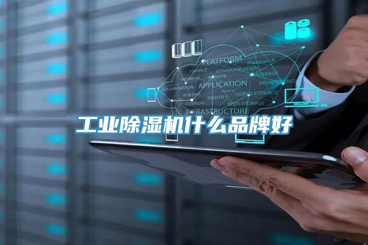 工業(yè)除濕機(jī)什么品牌好