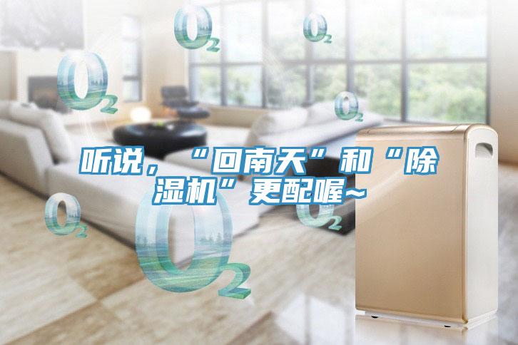 聽說，“回南天”和“除濕機”更配喔~