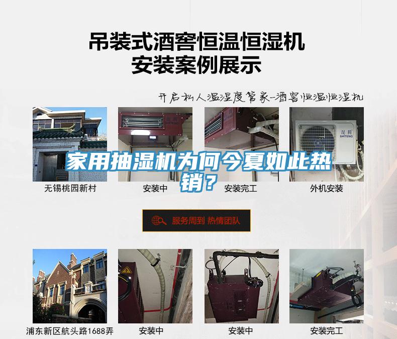 家用抽濕機為何今夏如此熱銷？