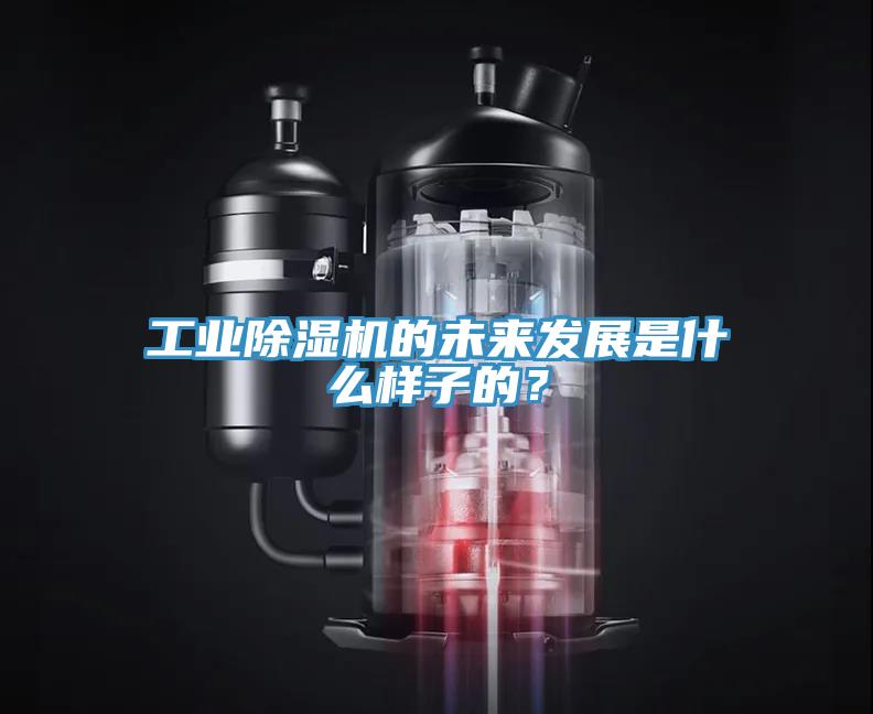 工業(yè)除濕機(jī)的未來(lái)發(fā)展是什么樣子的？