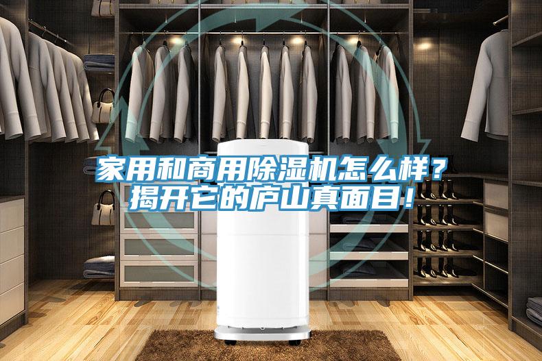 家用和商用除濕機怎么樣？揭開它的廬山真面目！