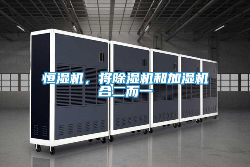 恒濕機，將除濕機和加濕機合二而一