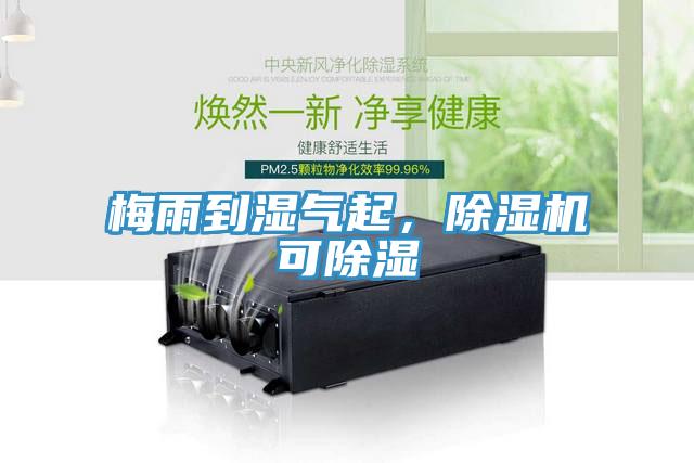 梅雨到濕氣起，除濕機可除濕
