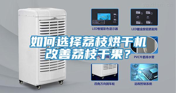 如何選擇荔枝烘干機(jī)改善荔枝干果？