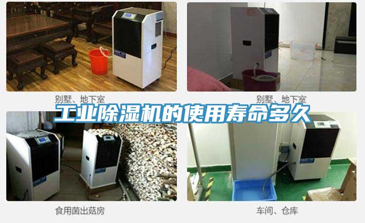 工業(yè)除濕機(jī)的使用壽命多久