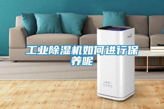 工業(yè)除濕機(jī)如何進(jìn)行保養(yǎng)呢