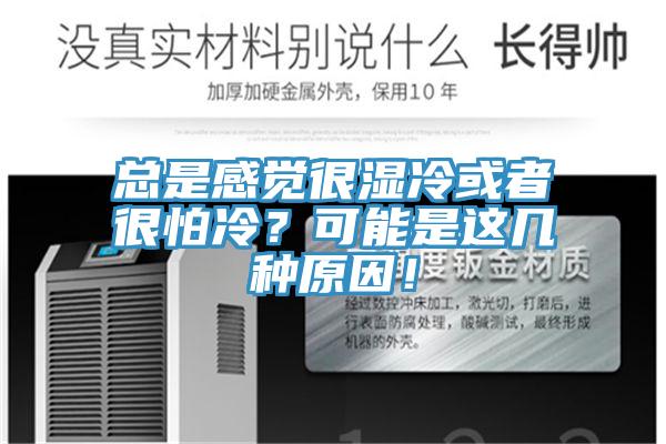 總是感覺很濕冷或者很怕冷？可能是這幾種原因！