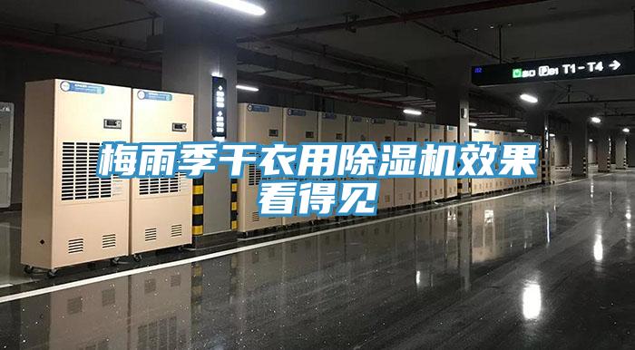 梅雨季干衣用除濕機效果看得見