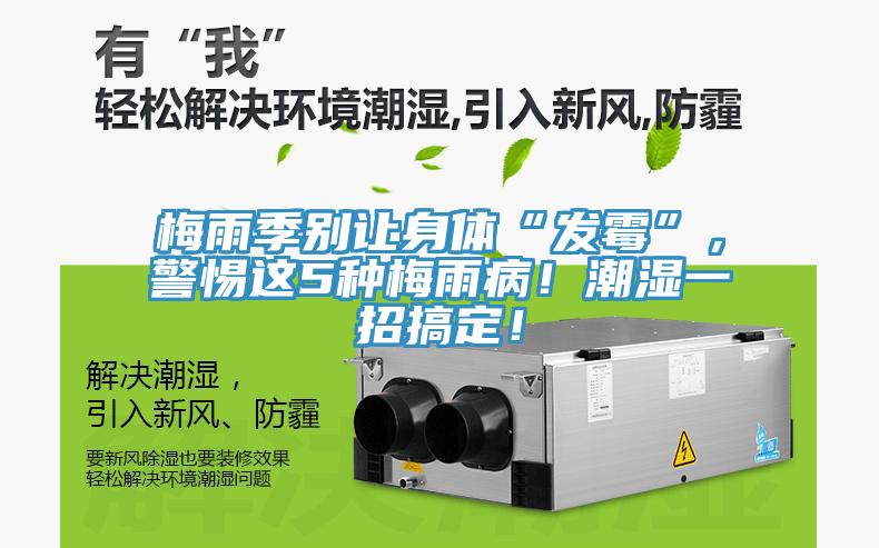 梅雨季別讓身體“發(fā)霉”，警惕這5種梅雨??！潮濕一招搞定！
