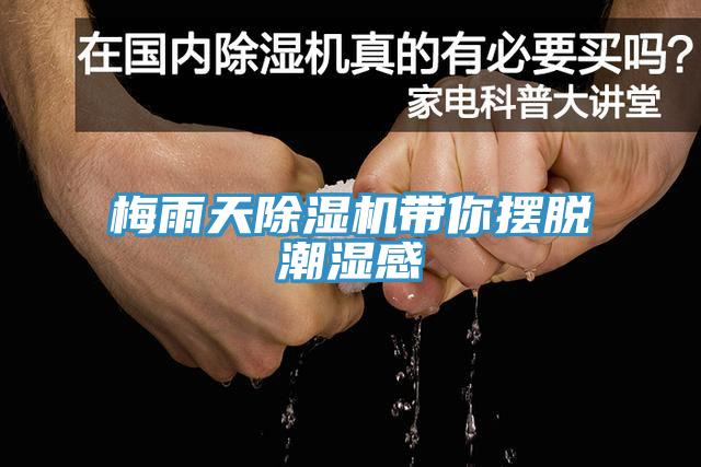 梅雨天除濕機帶你擺脫潮濕感