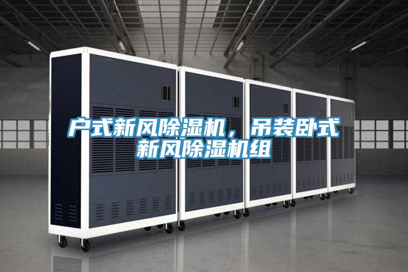戶式新風除濕機，吊裝臥式新風除濕機組