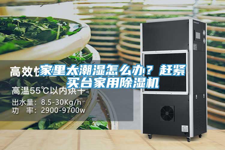家里太潮濕怎么辦？趕緊買臺家用除濕機
