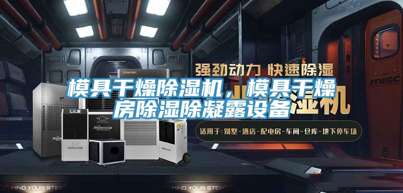 模具干燥除濕機(jī)，模具干燥房除濕除凝露設(shè)備