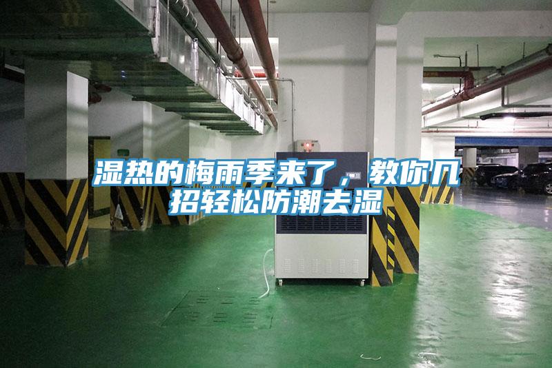 濕熱的梅雨季來了，教你幾招輕松防潮去濕