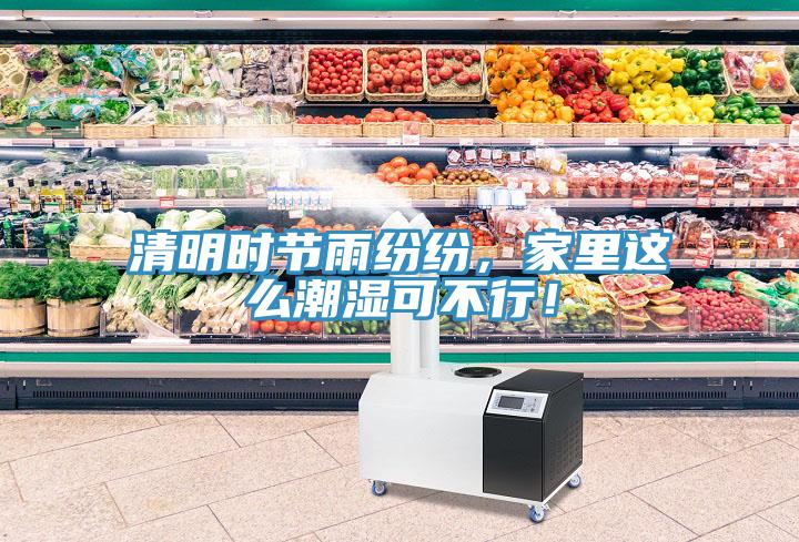 清明時節(jié)雨紛紛，家里這么潮濕可不行！