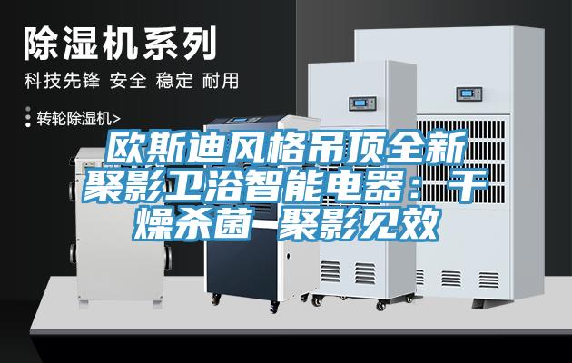 歐斯迪風格吊頂全新聚影衛(wèi)浴智能電器：干燥殺菌 聚影見效