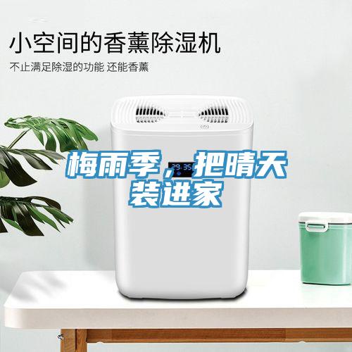 梅雨季，把晴天裝進家