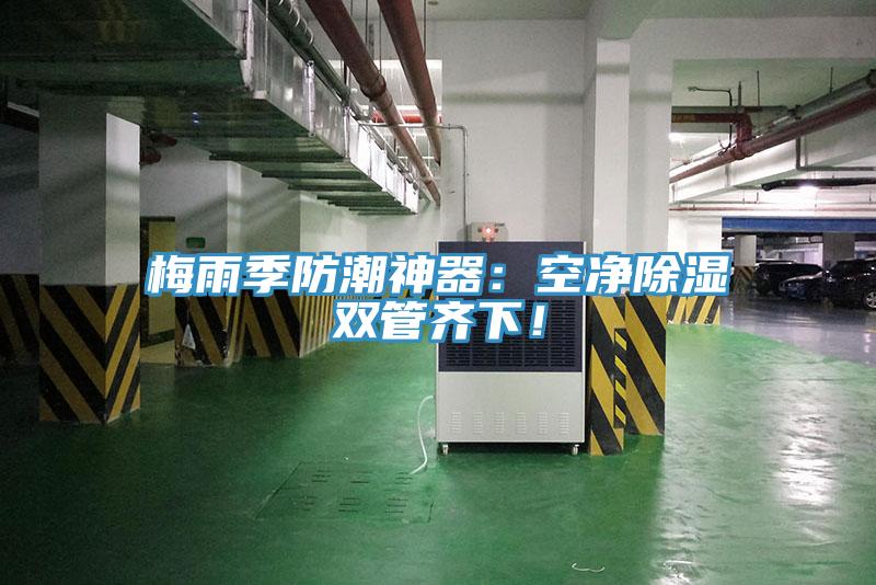 梅雨季防潮神器：空凈除濕雙管齊下！