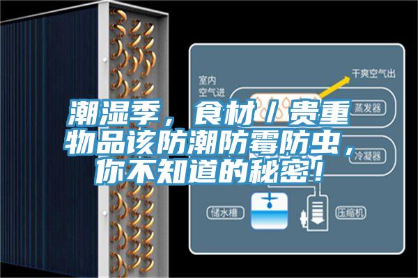 潮濕季，食材／貴重物品該防潮防霉防蟲，你不知道的秘密！