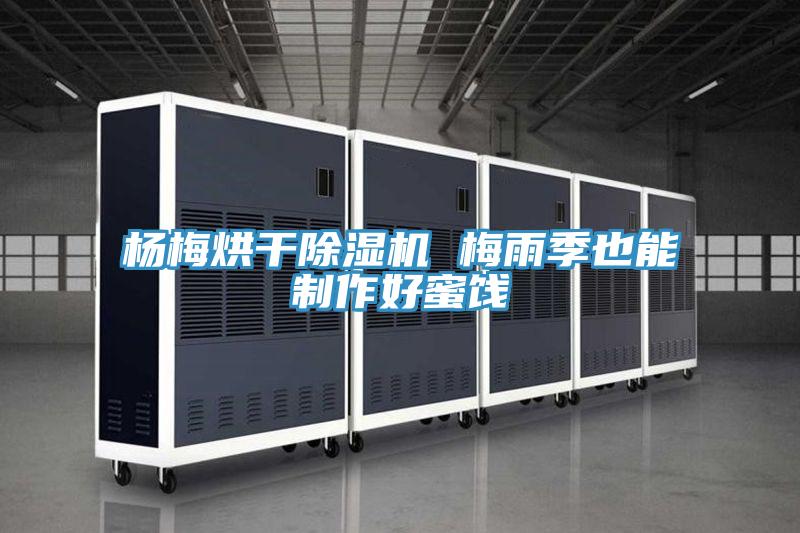楊梅烘干除濕機 梅雨季也能制作好蜜餞