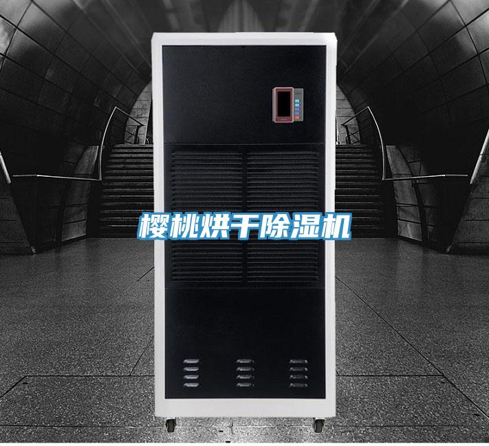 櫻桃烘干除濕機(jī)