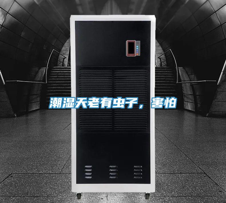 潮濕天老有蟲子，害怕