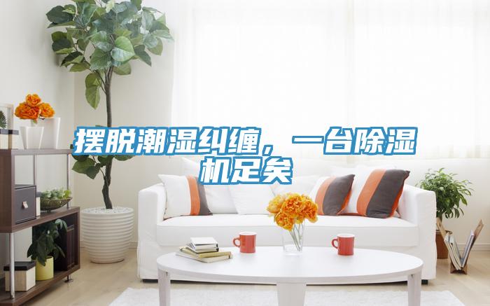 擺脫潮濕糾纏，一臺除濕機(jī)足矣