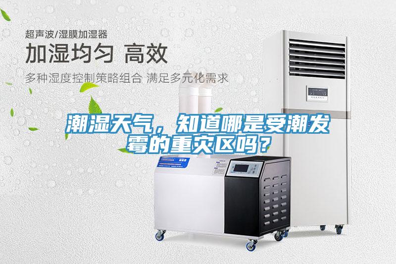 潮濕天氣，知道哪是受潮發(fā)霉的重災(zāi)區(qū)嗎？