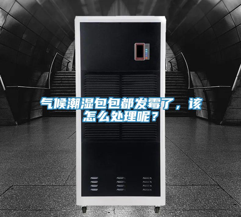 氣候潮濕包包都發(fā)霉了，該怎么處理呢？