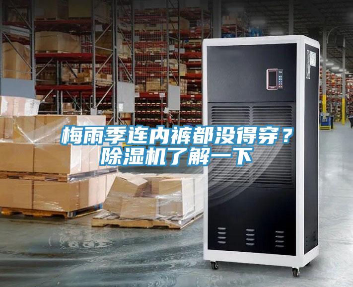 梅雨季連內(nèi)褲都沒得穿？除濕機了解一下