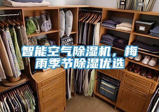智能空氣除濕機(jī)，梅雨季節(jié)除濕優(yōu)選