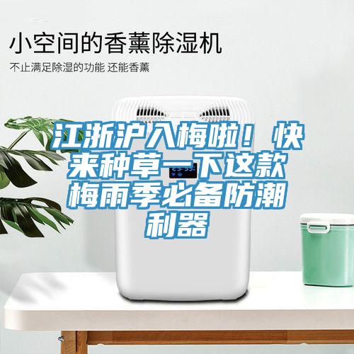 江浙滬入梅啦！快來(lái)種草一下這款梅雨季必備防潮利器