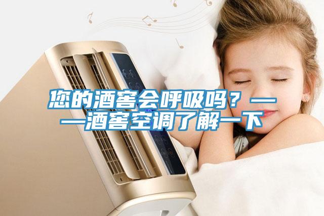 您的酒窖會呼吸嗎？——酒窖空調(diào)了解一下