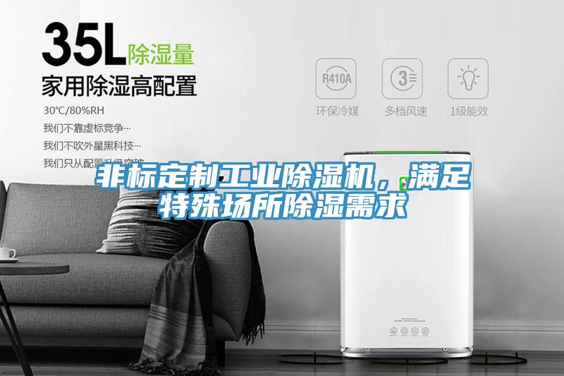非標(biāo)定制工業(yè)除濕機(jī)，滿(mǎn)足特殊場(chǎng)所除濕需求