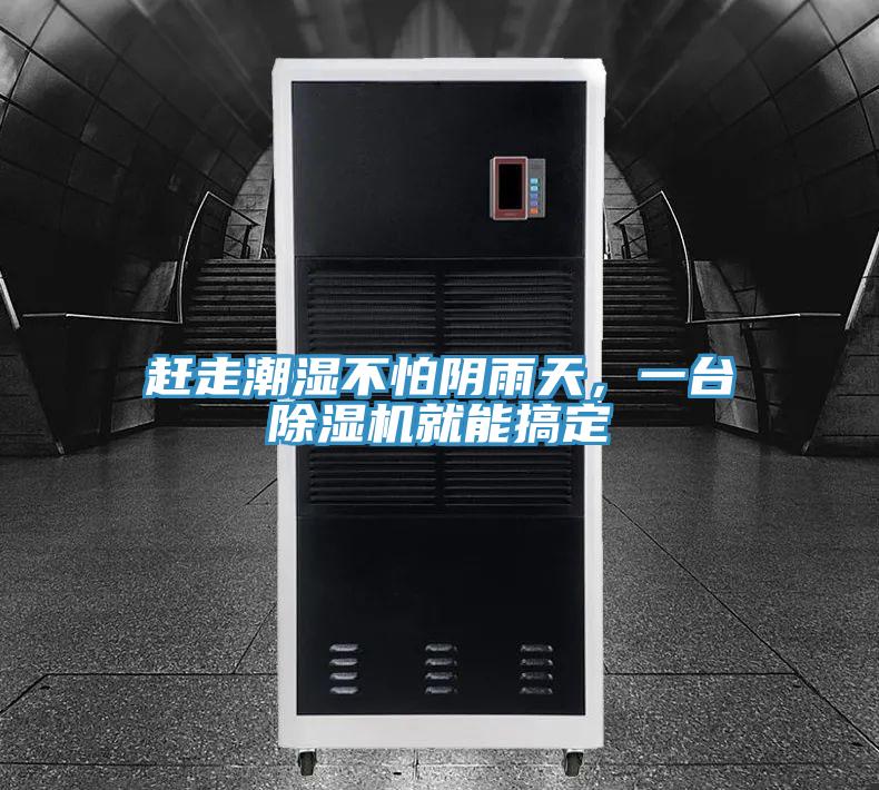 趕走潮濕不怕陰雨天，一臺除濕機就能搞定