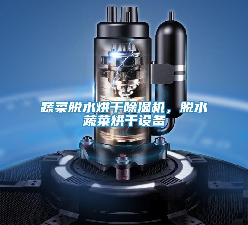 蔬菜脫水烘干除濕機(jī)，脫水蔬菜烘干設(shè)備
